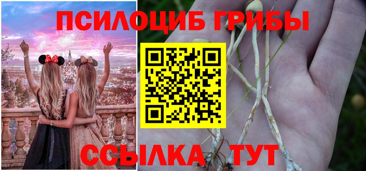 купить наркотики сайты  Псилоцибиновые грибы Cubensis  Псилоцибиновые грибы Magic Shrooms  Вход с VPN  Павлово 